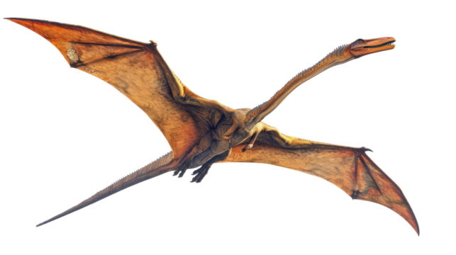  Soaring Spectacle: A detailed illustration of a majestic pterosaur glides effortlessly through the air, its wings spread wide against a clear sky background.