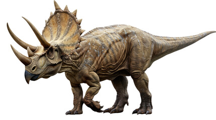 Fototapeta premium Ancient Titan: An impressive 3D render of a Triceratops, meticulously detailed and realistically textured, stands ready.