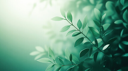 Vintage or distressed look achieved with a subtle green gradient background and grainy texture effect