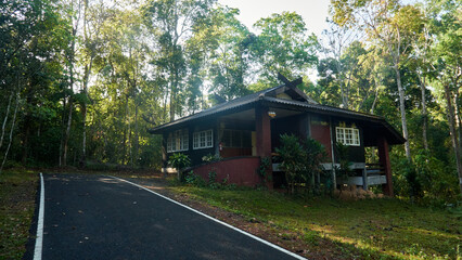 Cottages in the Forest of a National Park