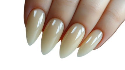 Elegant Manicured Nails: A close-up showcases a hand with perfectly shaped, polished nails. The subtle colors and smooth surfaces highlight the beauty and meticulous care taken in the manicure.