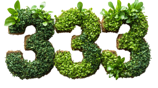 Numbers 333 with green leaves: A creative representation of the number "333" crafted with vibrant green leaves and lush foliage, symbolizing growth, harmony, and the beauty of nature.