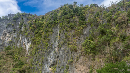 A sheer karst cliff against a background of blue sky and clouds. There is green tropical vegetation on the steep slopes. Philippines. Palawan.