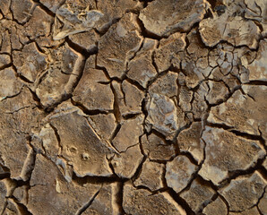 dry cracked earth background texture