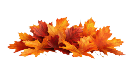 Autumn's Embrace: A vibrant heap of colorful autumn leaves, showcasing a range of hues, from golden yellows to fiery oranges and deep reds, bringing the beauty of the season