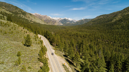 A road with a car driving down it in a forest