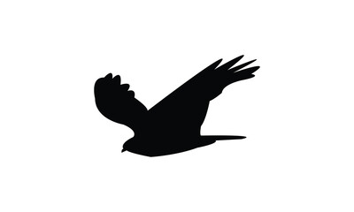 Flying African marsh harrier bird Silhouette Design  And Vector Illustration. 
