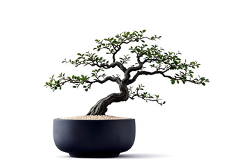 Cascade Bonsai in a Black Stone Pot