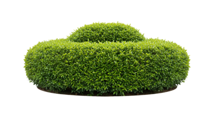 "Geometric Greens: The Art of Topiary"