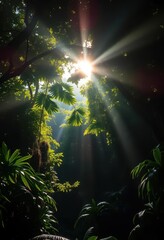 Obraz premium Sunlight bathes lush Guadeloupe Basse Terre rainforest, vibrant green canopy, dappled light, island, nature, forest