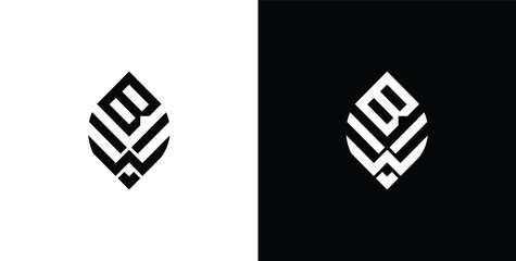 Minimal Innovative Initial Letter BW creative elegant. Premium Business BW logo icon