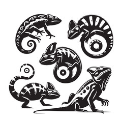 Black Chameleon Silhouette Vector, High Quality Illustration on White Background