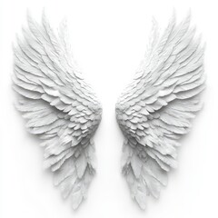 Obraz premium Elegant White Angel Wings with Detailed Feather Texture on a Clean White Background Creates a Serene and Spiritual Ambiance