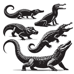 Black Crocodile Silhouette Vector, High Quality Illustration on White Background