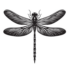 Black Dragonfly Silhouette Vector, High Quality Illustration on White Background
