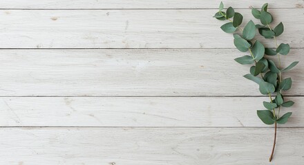 Capture a rustic, flat-lay background featuring weathered, whitewashed wooden planks with a sprig of green eucalyptus placed on the right