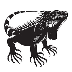 Black Iguana Silhouette Vector, High Quality Illustration on White Background