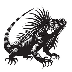 Black Iguana Silhouette Vector, High Quality Illustration on White Background