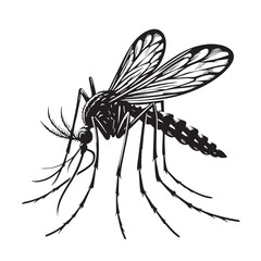 Black Mosquito Silhouette Vector, High Quality Illustration on White Background