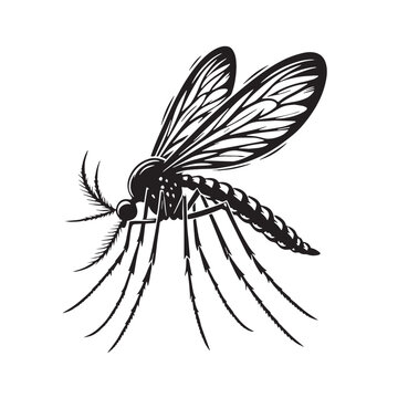 recommend clip art: Black Mosquito Silhouette Vector, High Quality Illustration on White Background