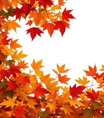 Fototapeta premium Crisp autumn leaves frame a pristine white space, seasonal colors, yellow, orange