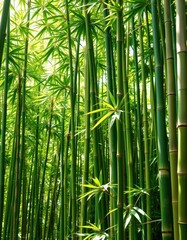 Fototapeta premium Lush green bamboo stalks, sunlight dappled leaves, sunlight, ecology