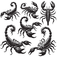 Black Scorpion Silhouette Vector, High Quality Illustration on White Background