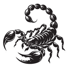 Black Scorpion Silhouette Vector, High Quality Illustration on White Background