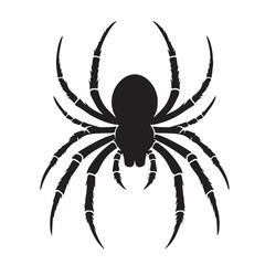 Black Spider Silhouette Vector, High Quality Illustration on White Background