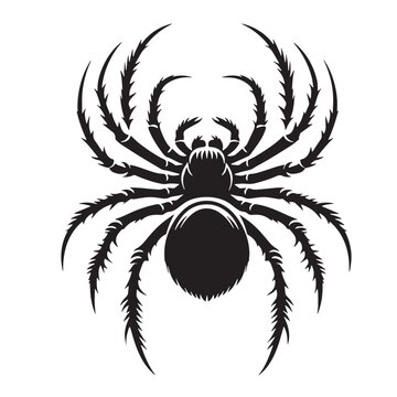 recommend clip art: Black Spider Silhouette Vector, High Quality Illustration on White Background