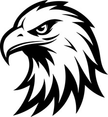 eagle head vector illustration