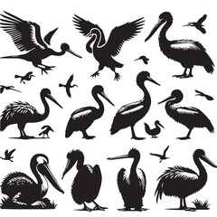 Black Dodo Silhouette Vector, High Quality Illustration on White Background © Craftdot