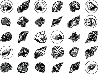 Seashell SVG Bundle