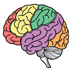 Creative Brain Illustration: Colorful and Detailed Brain Design with Sparkles, Symbolizing Intelligence, Knowledge, and Creativity