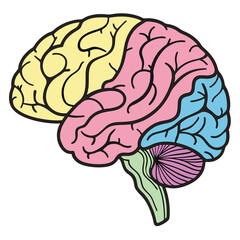 Creative Brain Illustration: Colorful and Detailed Brain Design with Sparkles, Symbolizing Intelligence, Knowledge, and Creativity