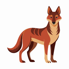 Obraz premium Dingo vector and illustration art.