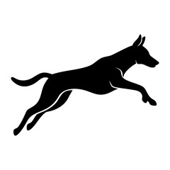 Obraz premium Silhouette of a running dog with a black and white Background