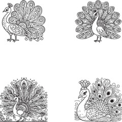 Elegant Peacock Line Art Set – Detailed Peacock Silhouettes with Ornate Feather Patterns for Coloring and Design

