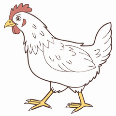 brown body of chicken hen standing isolated transparent background