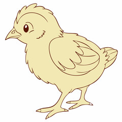 brown body of chicken hen standing isolated transparent background