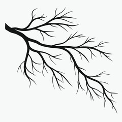 Tree Branch Silhouette