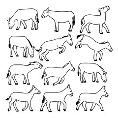 illustration hand draw animal donkey on white background