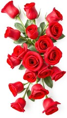 Fototapeta premium A vibrant bouquet of red roses, isolated on a pure white background, botany, petals
