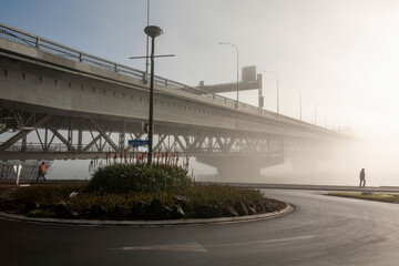 curran st westhaven dr roundabout person walking bridge foggy morning