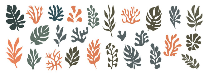Exotic leaf set. Tropical jungle leaves. Green foliage plants, palm, monstera, banana. Natural eco design elements. Botanical decorations. Flat graphic vector illustration isolated