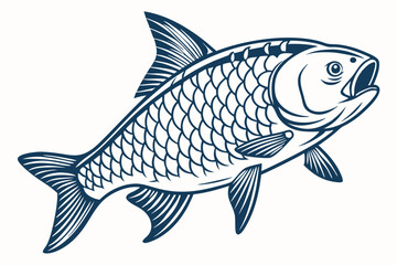 fish vector illustration