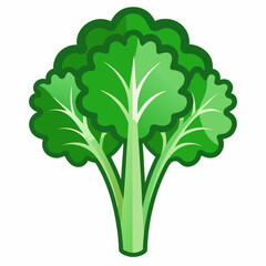Rapini vegetable isolated vector