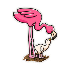 Illustration Flamingo bird eat good for sticker