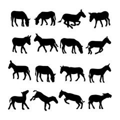 silhouette animal donkey collection o white background
