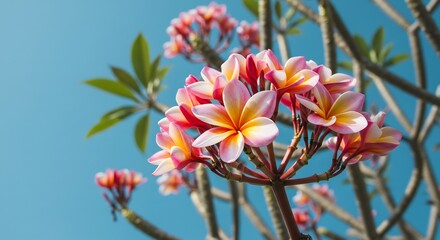 Vibrant pink and yellow blossoms bloom brightly against a clear blue sky tropical flowers sunlit scene. AI Generated